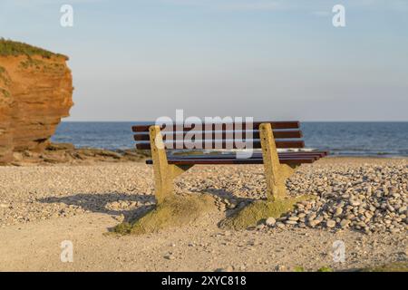 Bank in der Nähe von Otterton Ledge, Lyme Bay, Budleigh Salterton, Jurassic Coast, Devon, Großbritannien Stockfoto