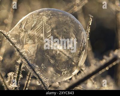 Seifenblase, auf der sich durch den Frost Eiskristalle gebildet haben. Im Licht der untergehenden Sonne. Auf der Seifenblase Due werden filigrane Muster erstellt Stockfoto