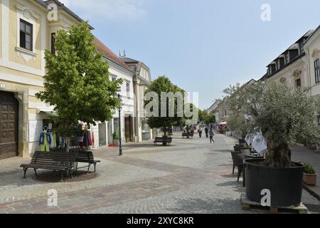 Fußgängerzone, Eisenstadt, Burgenland, Österreich, Europa Stockfoto