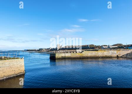 Thurso, Schottland, Vereinigtes Königreich - 16. Oktober 2023: Die Mündung des Thurso ist die Heimat der Robben in Thurso, Caithness, Schottland, Vereinigtes Königreich. Stockfoto