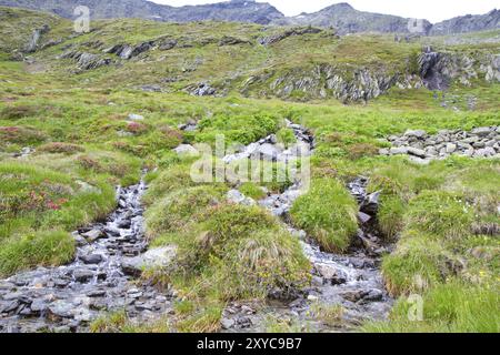 Gebirgsbach durchquert eine Almwiese Stockfoto