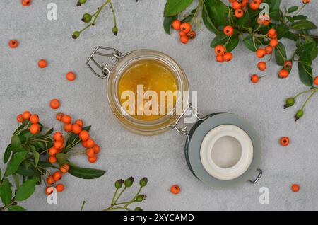 Orange/goldene Marmelade in einem Glasgefäß mit Eberesche und grünen Blättern, Blick von oben. Stockfoto