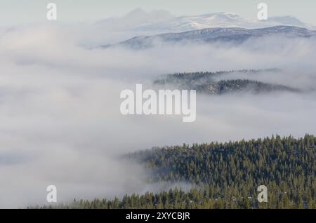 Morgennebel in Engerdalsfjellet, Hedmark Fylke, Norwegen, Oktober 2011, Europa Stockfoto