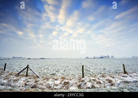 Niederländischer Hof und Weiden im winter Stockfoto