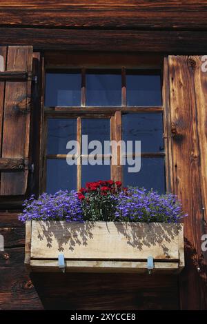 Blumen, die ein altes Fenster eines Bauernhofes im Berner Oberland schmücken Stockfoto