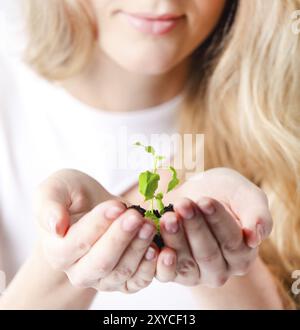 Junge Frau, die junge Pflanze in ihren Händen hält. Geringe Schärfentiefe Stockfoto