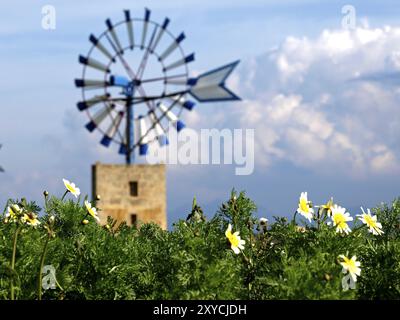 Molinos para exccion de Agua (s.. XIX-XX) . Cami de Sa pedra rodona.Campos.Comarca de Migjorn. Mallorca. Balearen. Espana Stockfoto