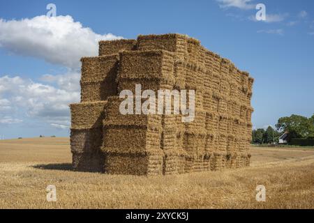 Stapel rechteckiger Strohballen in Ystad, Skane County, Schweden, Skandinavien, Europa Stockfoto