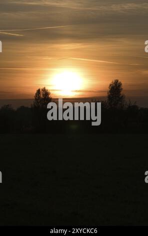 Sonnenuntergang mit brennendem Himmel hinter den Bäumen. Kräftige warme Farben Stockfoto