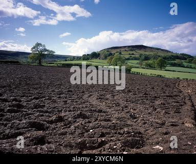 Vereinigtes Königreich. England. North York Moors. Pflugfeld. Stockfoto