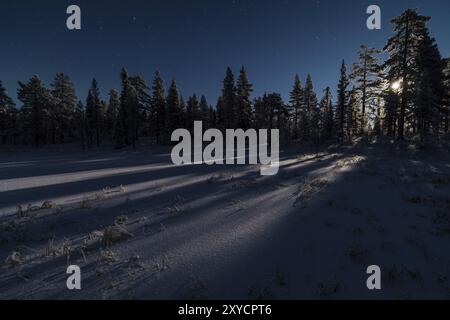 Winterlandschaft bei Mondschein, Muddus-Nationalpark, Laponia-Weltkulturerbe, Norrbotten, Lappland, Schweden, November 2016, Europa Stockfoto