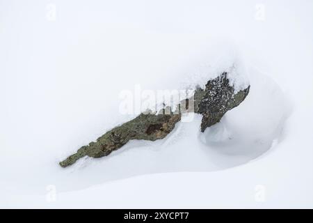 Schneebedeckter Felsen, Dundret Nature Reserve, Gaellivare, Norrbotten, Lappland, Schweden, November 2017, Europa Stockfoto