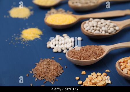 Verschiedene Getreidearten und Hülsenfrüchte in Löffeln auf blauem Holztisch, Nahaufnahme Stockfoto