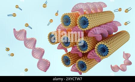 3D-Rendering der sechseckigen Phase besteht aus DNA-Stäben zwischen stäbchenartigen Lipidmizellen, die auf einem sechseckigen Gitter angeordnet sind Stockfoto