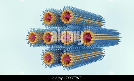 Ein 3D-Rendering der inversen hexagonalen HIIc-Phase besteht aus DNA-Stäben, die mit einer Lipid-Monolage beschichtet sind, die auf einem sechseckigen Gitter angeordnet sind. Stockfoto