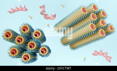 Ein 3D-Rendering der inversen hexagonalen HIIc-Phase besteht aus DNA-Stäben, die mit einer Lipid-Monolage beschichtet sind, die auf einem sechseckigen Gitter angeordnet sind. Stockfoto