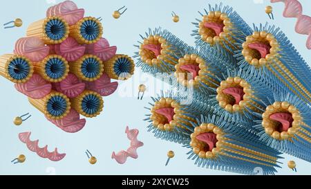 3D-Rendering der lamellaren Phase zeigt DNA-Stäbe, die zwischen Lipidzweischichten intercaliert sind, und die inverse hexagonale Phase besteht aus DNA Stockfoto