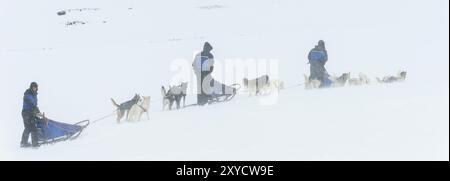 Hundeschlitten im Schnee im Stuor Reaiddavaggi Tal, Kebnekaisefjaell, Norrbotten, Lappland, Schweden, März 2013, Europa Stockfoto