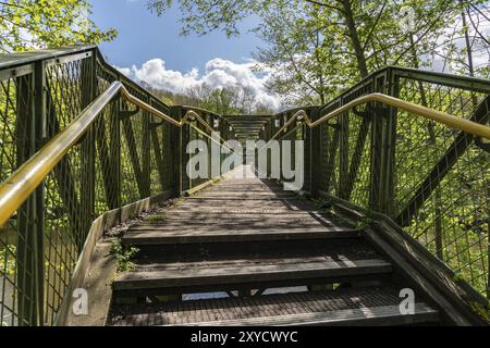 Blick auf die Jackfield Coalport Memorial Bridge in Coalport, Shropshire, England, Großbritannien Stockfoto