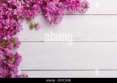 Duftende rosa Brühe Blumen Matthiola auf weißem hölzernem Hintergrund Stockfoto