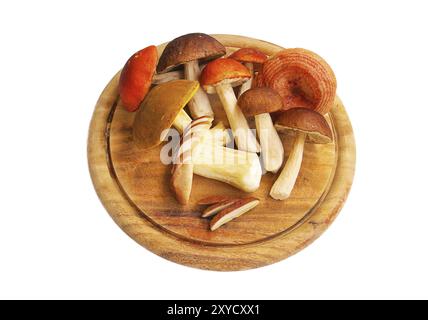 Champignon 08 Stockfoto