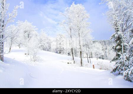 Blick auf die Winterlandschaft. Blick auf die Winterlandschaft. Frostige Bäume und Büsche in polnischen Bergen. Die Beskiden, Koszarawa, Schlesien, Polen Stockfoto