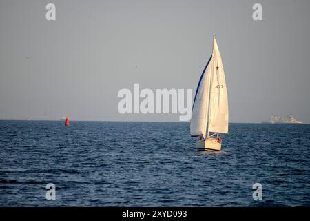 Gefühl, Gedanken, Verhalten, Antworten, Vergnügen, Stimmung, Temperament, Persönlichkeit, Stockfoto