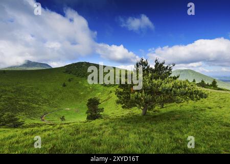 Der alte Vulkan Puy Pariou in der Auvergne in Frankreich Stockfoto