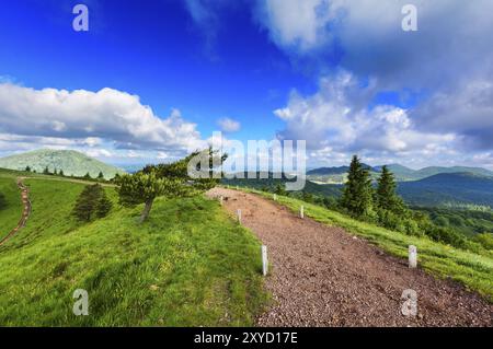 Der alte Vulkan Puy Pariou in der Auvergne in Frankreich Stockfoto