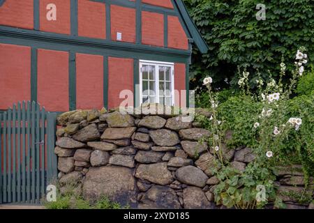 Traditionelles Fachwerkhaus mit roter Fassade und grünen Fensterläden, neben einer bezaubernden Steinmauer und weißen Blumen, Svaneke, bornholm, ostsee, DE Stockfoto