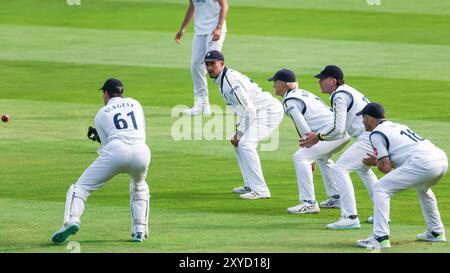 Aufgenommen in Birmingham, Großbritannien am 29. August 2024 im Warwickshire County Cricket Club, Edgbaston. Abgebildet ist #61, Michael Burgess aus Warwickshire, der den Ball sammelt, unterstützt beim Slip von #35, will Rhodes, #2, Jacob Bethell, #17, Rob Yates und #16, Sam Hain während des County Championship-Spiels 2024 zwischen Warwickshire CCC und Kent CCC Image ist nur für redaktionelle Zwecke bestimmt – Stu Leggett über Alamy Live News Stockfoto