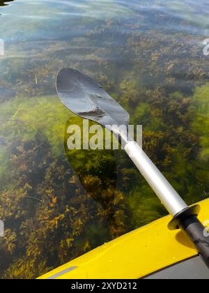 Segeln auf einem Gummiboot an einem Sommertag in der Ostsee. Paddeln Sie mit klarem Wasser auf dem seichten Wasser. Stockfoto
