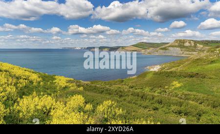 Jurassic Küste Landschaft in der Nähe von Worth Matravers, Jurassic Coast, Dorset, Großbritannien Stockfoto