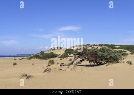 An der Spiaggia di Piscinas, angetrieben vom starken mistral-Wind, erstrecken sich die bis zu 60 Meter hohen Dünen bis zu 2 Kilometer landeinwärts Stockfoto