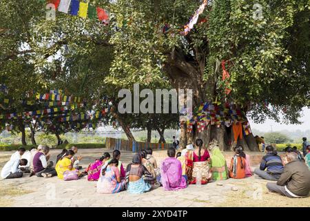 Lumbini, Nepal, 27. November 2014: Pilger beten unter dem Bodhi-Baum am Buddhas Birtplace, Asien Stockfoto