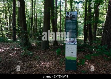 Wandlitz, hier Stand das Wohnhaus von Otto Grotewohl Wohnhäuser der Partei- und Staatsführung der DDR in Waldsiedlung Wandlitz Berlin Berlin GER *** Wandlitz, Wohnhaus von Otto Grotewohl Wohnbauten der Partei- und Landesführung der DDR in Waldsiedlung Wandlitz Berlin Berlin Berlin GER Stockfoto