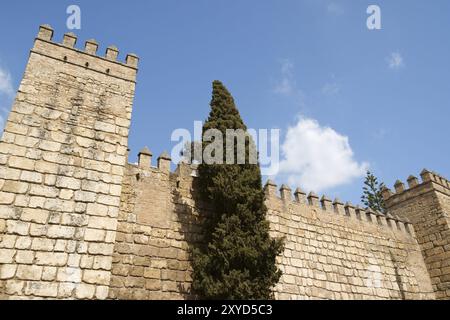 Real Alcazar (Royal Alcazar) von Sevilla. Details der äußeren Verteidigungsmauern Stockfoto