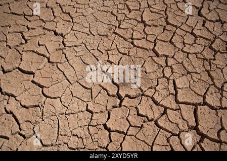 Getrocknete Schlammrisse im Wüstengebiet auf kargem Land während des heißen Sommertags in Azraq Jordanien Stockfoto