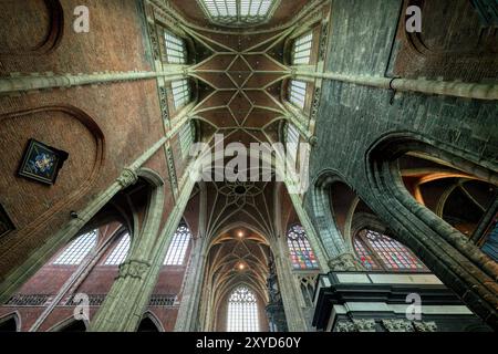 Gotische Kathedrale St. Bavo aus dem 10. Jahrhundert, gewölbte Decke und Säulen des Mittelschiffs, Gent, Flandern, Belgien Stockfoto