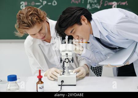 Untersuchung von Proben mit dem Labormikroskop in der Chemieklasse Stockfoto