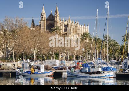 Kathedrale von Palma von Moll de la Riba, Palma, mallorca, balearen, spanien Stockfoto