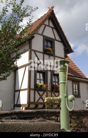 Entspringen Sie vor einem historischen Gebäude am fest Dilsberg über dem Neckar bei Heidelberg, Deutschland, Europa Stockfoto