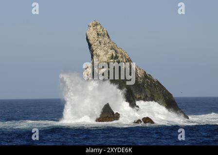 Shag Rocks, ungefähr 130 Meilen westlich von Süd-Georgien im südlichen Atlantischen Ozean, mit Shags Zucht an der Spitze Stockfoto