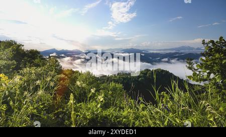 Von oben auf der schönen Sicht, die sich auf grünen Pflanzen auf der Bergkuppe mit Nebel und bewölktem Himmel im Hintergrund befindet Stockfoto