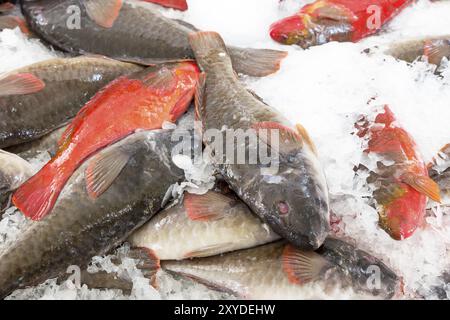 Frischer Fisch auf einem Markt Stockfoto