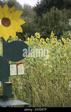 Self-Service-Feld Stockfoto