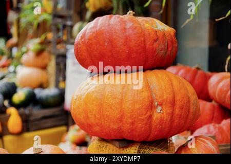 2 große Hokkaiodo-Kürbisse auf einem Stapel Stockfoto