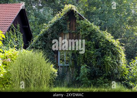 Haus mit Efeu am Ufer der Spree, Spreewald, Brandenburg, Deutschland, Europa Stockfoto