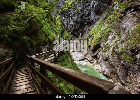 Blick auf die Lammerklamm-Schlucht bei Scheffau im Salzburger Land Stockfoto