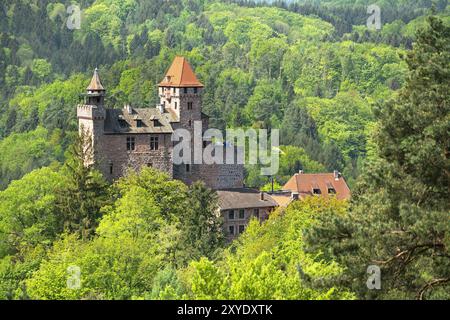 Schloss Berwartstein im Frühling, Erlenbach, Naturpark Pfälzer Wald, Pfalz, Rheinland-Pfalz, Deutschland, Europa Stockfoto